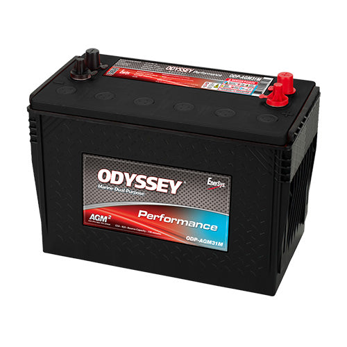 EnerSys ODP-AGM31M