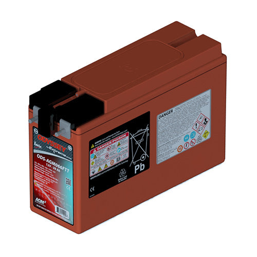 EnerSys ODS-AGM066FTT