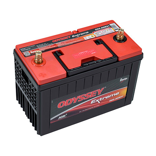 EnerSys ODX-AGM31A