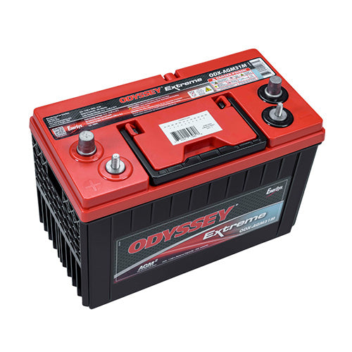 EnerSys ODX-AGM31MJ