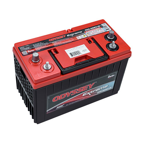 EnerSys ODX-AGM31M