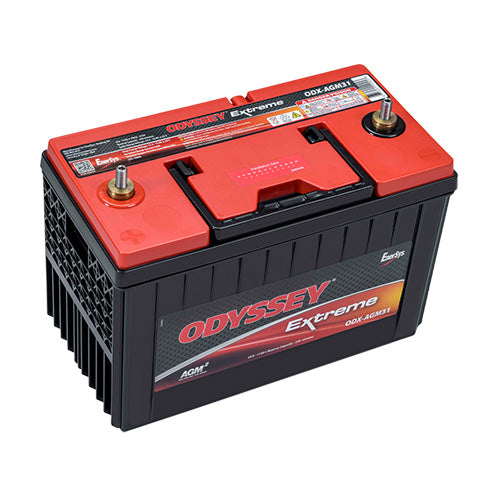 EnerSys ODX-AGM31